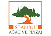 Istanbul Agac Ve Peyza 7