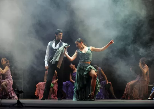 Muzikal Oyunculuk Kursu Fiyatlari 1